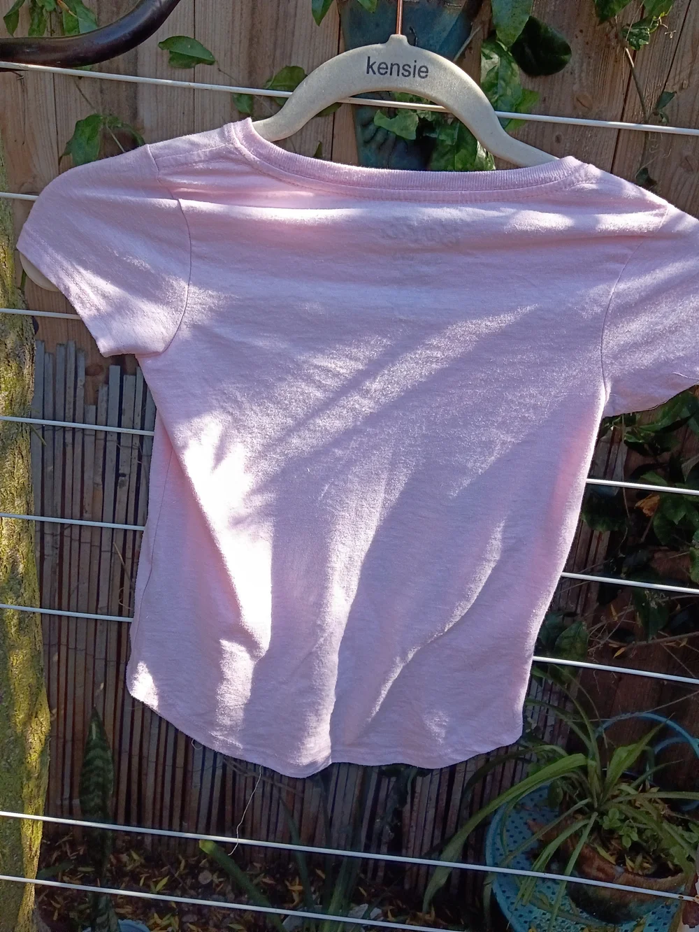 Barbie soft light